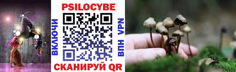 Купить где Сорск Псилоцибиновые грибы Psilocybe